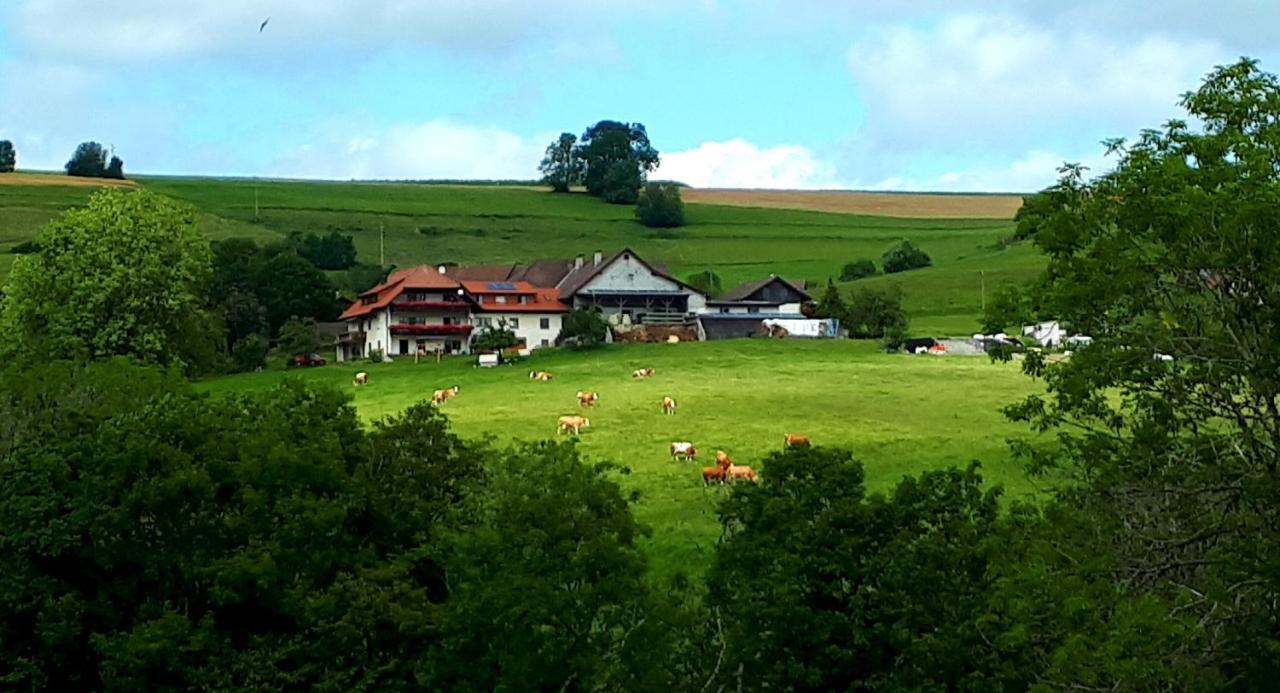 Ferienwohnung Eckert Weilheim Buitenkant foto